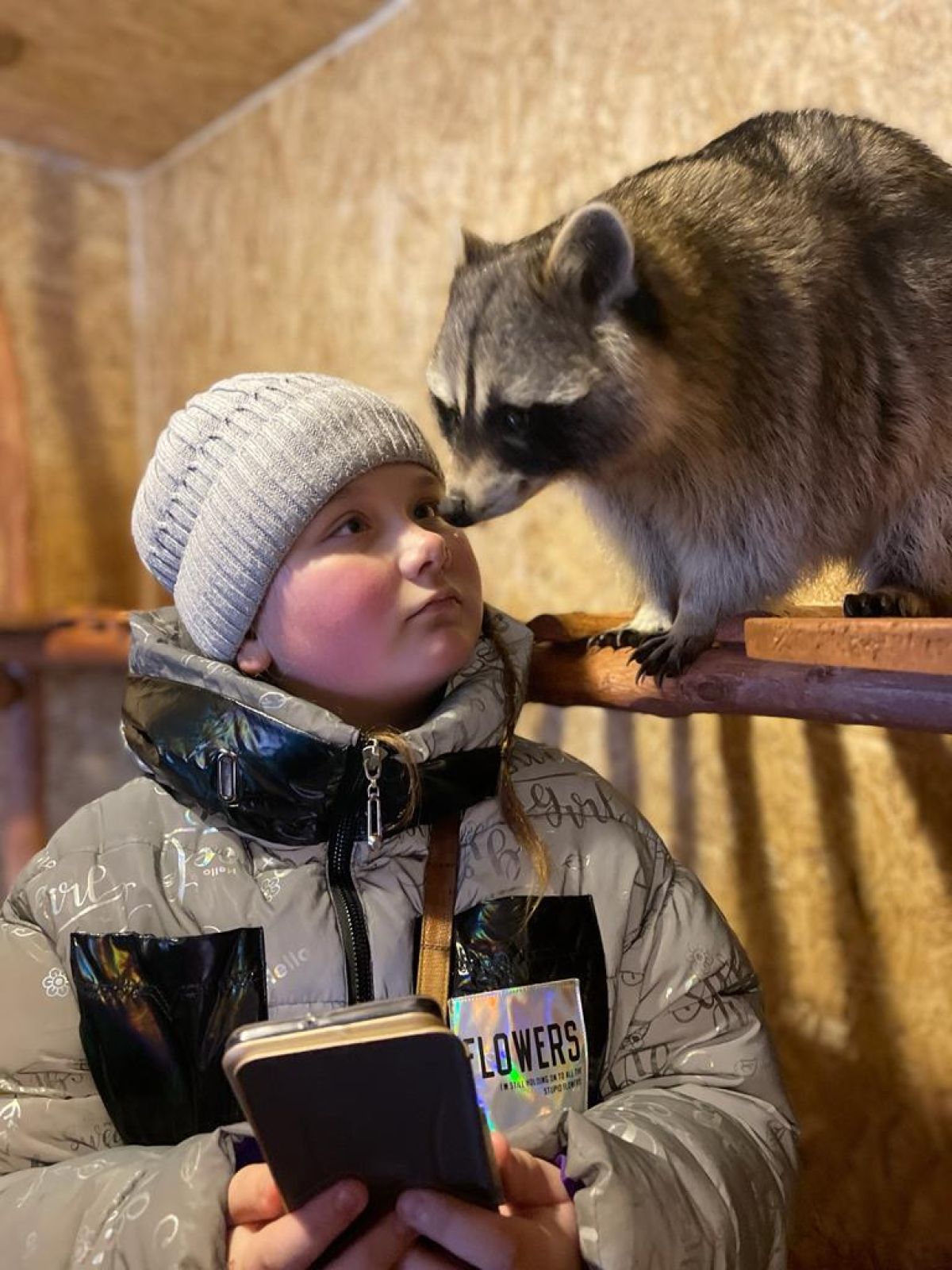 Питомник хаски